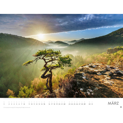 Artikelbild 4 für Heye Monats-Wandkalender Sonnenzauber 2026, Artikelnummer 551137