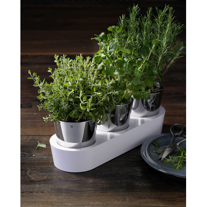 Artikelbild 3 für WMF Kräutertopf-Set Gourmet silber, 3 St., 5-tlg., Artikelnummer 823430