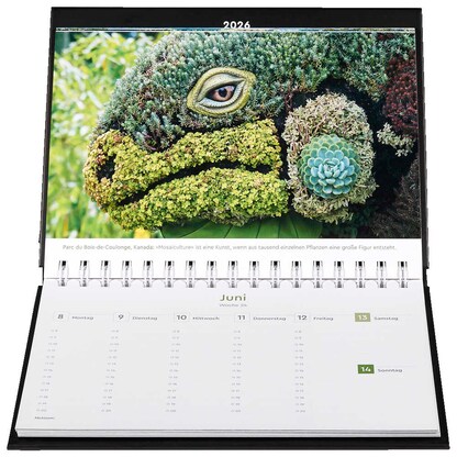 Artikelbild 10 für KUNTH Tischquerkalender 52 Gärten um die Welt 2026, Artikelnummer 575666