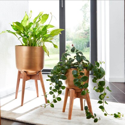 Artikelbild 2 für WOHNLING Übertopf Metall gold rund 31,0 x 52,0 cm, 2 St., Artikelnummer 166289