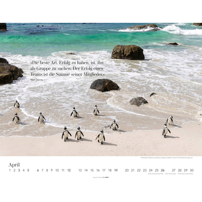 Artikelbild 5 für Weingarten Monats-Wandkalender Wege des Erfolgs 2026, Artikelnummer 551087