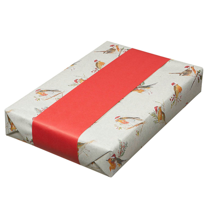 Artikelbild 4 für JUNG SCHÖNER VERPACKEN Geschenkpapier Robin Vögel mehrfarbig beidseitig bedruckt, 20,0 m, Artikelnummer 463523