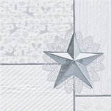 Artikelbild 1 für PAPSTAR Servietten Rising Star 50 St., Artikelnummer 183042