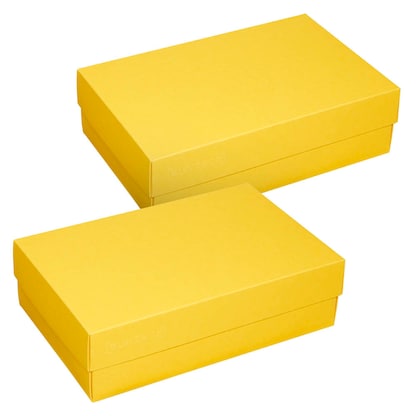 Artikelbild 2 für 2 BUNTBOX L Geschenkboxen 3,6 l gelb 26,6 x 17,2 x 7,8 cm, Artikelnummer 303832