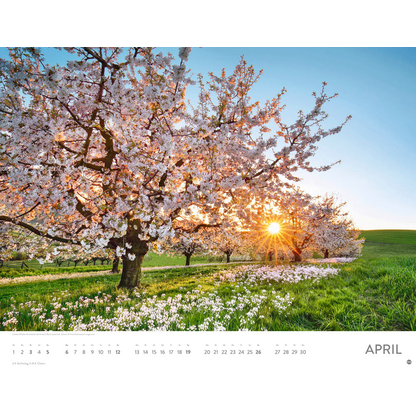 Artikelbild 5 für Heye Monats-Wandkalender Sonnenzauber 2026, Artikelnummer 551137