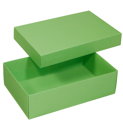 Artikelbild 4 für 2 BUNTBOX L Geschenkboxen 3,6 l grün 26,6 x 17,2 x 7,8 cm, Artikelnummer 303671