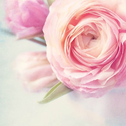 Artikelbild 2 für SIGEL Motivpapier Rose Garden Motiv DIN A4 90 g/qm 50 Blatt, Artikelnummer 142869