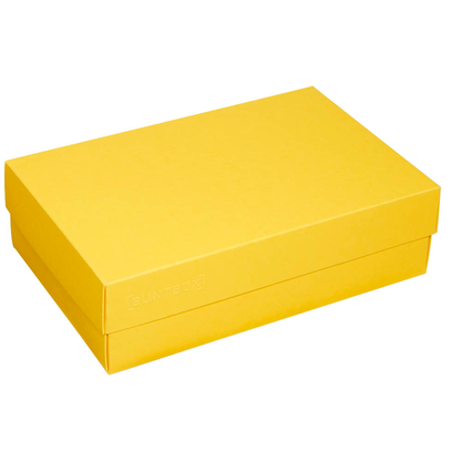 Artikelbild 4 für 2 BUNTBOX L Geschenkboxen 3,6 l gelb 26,6 x 17,2 x 7,8 cm, Artikelnummer 303832