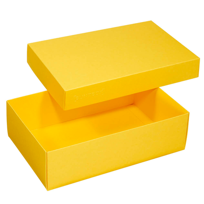 Artikelbild 3 für 2 BUNTBOX L Geschenkboxen 3,6 l gelb 26,6 x 17,2 x 7,8 cm, Artikelnummer 303832