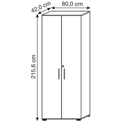Artikelbild 3 für HAMMERBACHER Aktenschrank 968T6, V968T6/W/6/BS buche, weiß 5 Fachböden 80,0 x 42,0 x 215,6 cm, Artikelnummer 380398