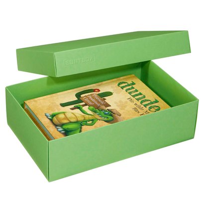 Artikelbild für 2 BUNTBOX L Geschenkboxen 3,6 l grün 26,6 x 17,2 x 7,8 cm, Artikelnummer 303671