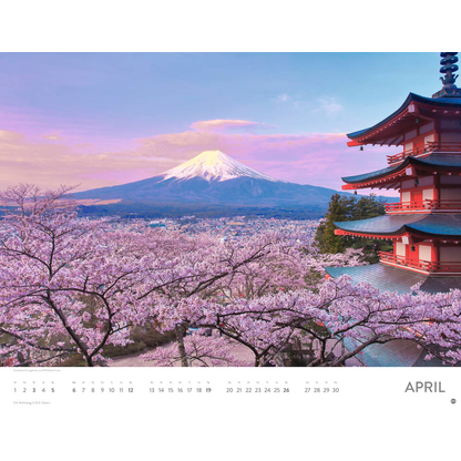 Artikelbild 5 für Heye Monats-Wandkalender Blütenmeer 2026, Artikelnummer 551159