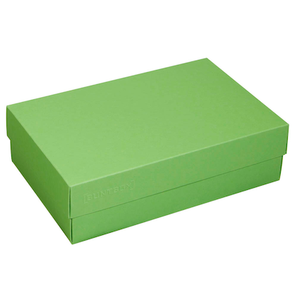 Artikelbild 3 für 2 BUNTBOX L Geschenkboxen 3,6 l grün 26,6 x 17,2 x 7,8 cm, Artikelnummer 303671