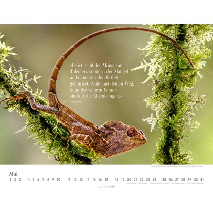 Artikelbild 6 für Weingarten Monats-Wandkalender Wege des Erfolgs 2026, Artikelnummer 551087