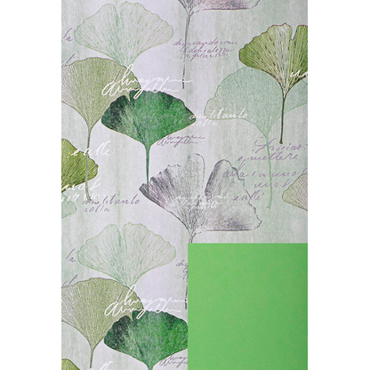 Artikelbild 2 für JUNG SCHÖNER VERPACKEN Geschenkpapier Ginkgo mehrfarbig beidseitig bedruckt, 20,0 m, Artikelnummer 554313