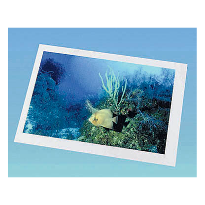 Artikelbild 2 für AVERY Zweckform Kopierfolien 3555 klar, 100 St., Artikelnummer 421057