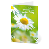 Artikelbild 1 für LUMA Geburtstagskarte Margeriten DIN B6, Artikelnummer 403091