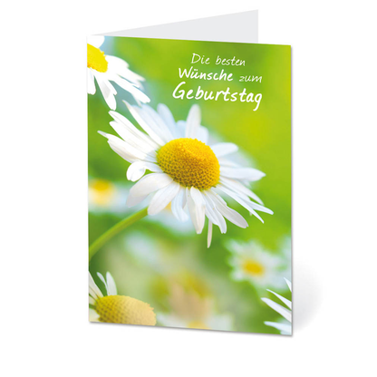 Artikelbild für LUMA Geburtstagskarte Margeriten DIN B6, Artikelnummer 403091