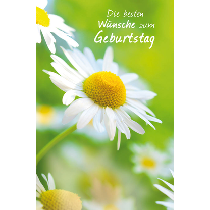 Artikelbild 2 für LUMA Geburtstagskarte Margeriten DIN B6, Artikelnummer 403091