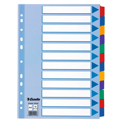 Artikelbild 19 für Esselte Ordnerregister DIN A4 Vollformat blanko farbig 12-teilig, 1 Satz, Artikelnummer 352864