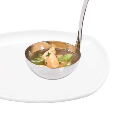 Artikelbild 2 für WMF Schöpflöffel Profi Plus Edelstahl silber, 1 St., Artikelnummer 981811