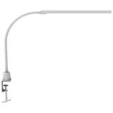 Artikelbild 1 für MAUL MAULpirro Schreibtischlampe weiß 6 W mit Tischklemme, Artikelnummer 136779