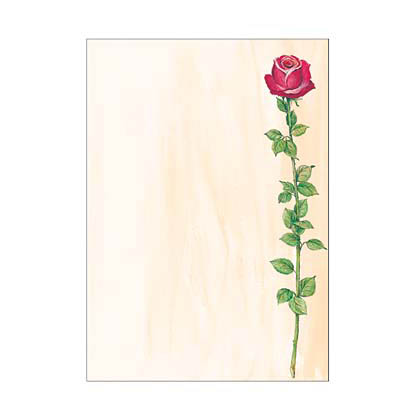 Artikelbild 14 für SIGEL Motivpapier Rose Bloom Motiv DIN A4 90 g/qm 25 Blatt, Artikelnummer 569095