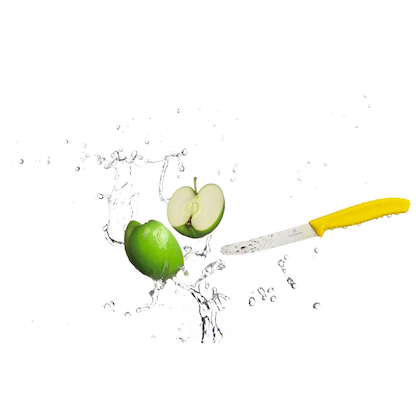 Artikelbild 3 für VICTORINOX Frühstücksmesser Swiss Classic silber, gelb glänzend, poliert, Klinge: 11,0 cm, 20 St., Artikelnummer 543918