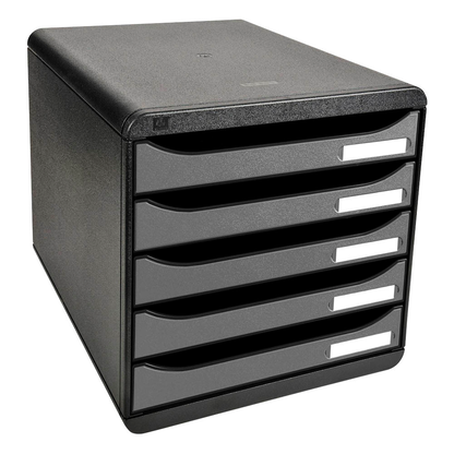 Artikelbild für Exacompta Schubladenbox BIG-BOX PLUS silber 309738D, DIN A4 mit 5 Schubladen, Artikelnummer 667523