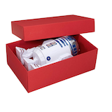 Artikelbild 1 für BUNTBOX XL Geschenkboxen 8,6 l rot 34,0 x 22,0 x 11,5 cm, Artikelnummer 303962