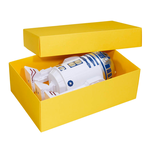 Artikelbild 1 für BUNTBOX XL Geschenkboxen 8,6 l gelb 34,0 x 22,0 x 11,5 cm, Artikelnummer 303972