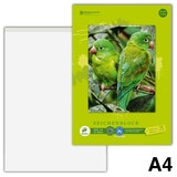 Artikelbild 1 für Edition Dürer Zeichenblock green DIN A4, Artikelnummer 421519