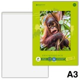 Artikelbild 1 für Edition Dürer Zeichenblock green DIN A3, Artikelnummer 421523