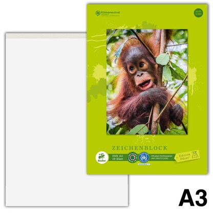 Artikelbild für Edition Dürer Zeichenblock green DIN A3, Artikelnummer 421523