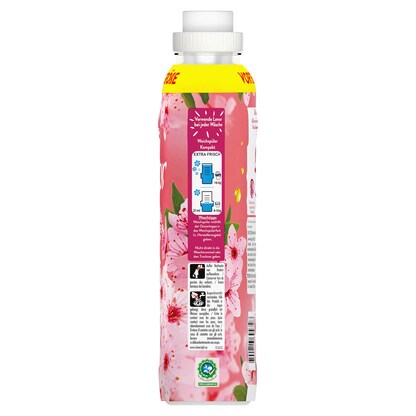 Artikelbild 2 für Lenor KIRSCHBLÜTE & EDELSALBEI Weichspüler flüssig, 1,239 l, Artikelnummer 526659