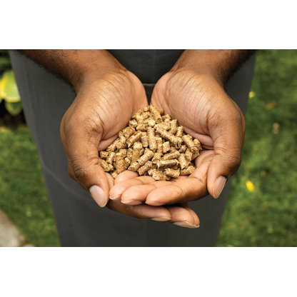 Artikelbild 2 für NINJA® Grillpellets Woodfire Allzweckmischung, Artikelnummer 455457