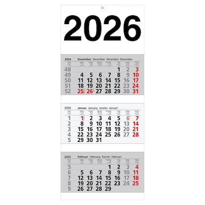 Artikelbild für 3-Monats-Wandkalender 2026, Artikelnummer 547838