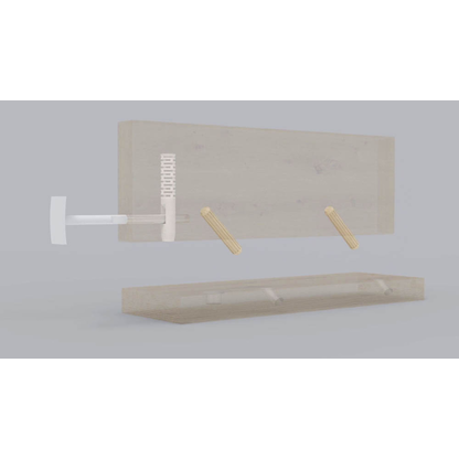 Artikelbild 13 für HAMMERBACHER Regalschrank 968T3, V968T3/5/5/BS lichtgrau 80,0 x 42,0 x 215,6 cm, Artikelnummer 993022