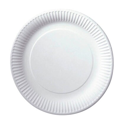Artikelbild für 100 PAPSTAR Pappteller Ø 23,0 cm, Artikelnummer 849174