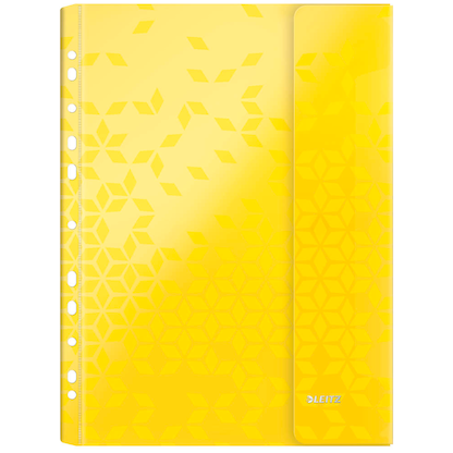 Artikelbild 3 für 6 LEITZ Prospekthüllen DIN A4 farbsortiert genarbt 0,20 mm, Artikelnummer 386399