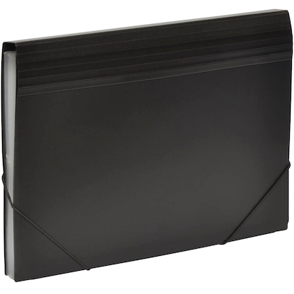 Artikelbild 4 für FolderSys Fächermappe 12 Fächer schwarz, Artikelnummer 642074