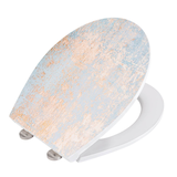 Artikelbild 1 für WENKO WC-Sitz mit Absenkautomatik Agate mehrfarbig, Artikelnummer 814543