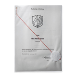 Artikelbild 1 für DURABLE Dokumentenhüllen transparent A4, 10 St., Artikelnummer 584425