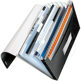 Artikelbild 1 für AKTION: LEITZ Fächermappe WOW 4589 6 Fächer schwarz mit Prämie nach Registrierung, Artikelnummer 899738