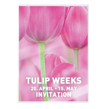 Artikelbild 7 für 100 LEITZ UDT Laminierfolien glänzend für A4 100 micron, Artikelnummer 472530