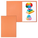 Artikelbild 1 für ELBA Aktendeckel Smart Line DIN A4 orange, 100 St., Artikelnummer 671691