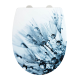 Artikelbild 1 für WENKO WC-Sitz mit Absenkautomatik Sereno blau, Artikelnummer 813594