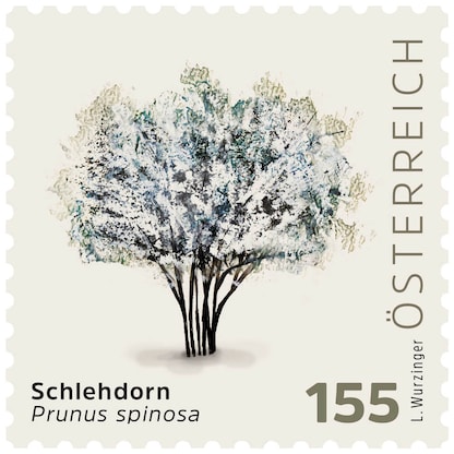 Artikelbild 2 für Porto NEU ab 01.05.2025: Österreichische Post 1,55 € Briefmarken ECO M 