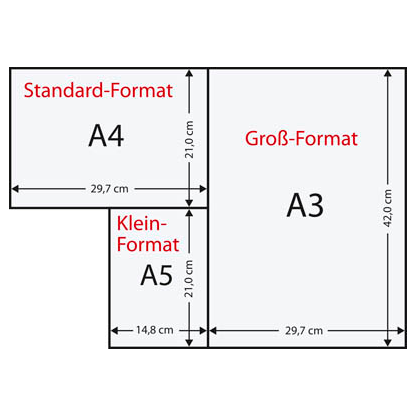 Artikelbild 3 für AKTION: Plano® Kopierpapier Speed DIN A4 80 g/qm 10x 500 Blatt, Artikelnummer 423741