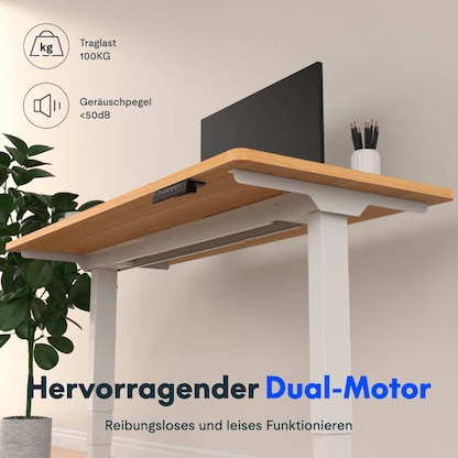 Artikelbild 2 für FlexiSpot E5 elektrisch höhenverstellbares Schreibtischgestell schwarz ohne Tischplatte, T-Fuß-Gestell schwarz 111,6 - 148,6 x 68,0 cm, Artikelnummer 656688